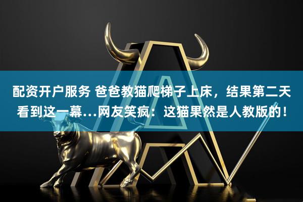 配资开户服务 爸爸教猫爬梯子上床，结果第二天看到这一幕…网友笑疯：这猫果然是人教版的！