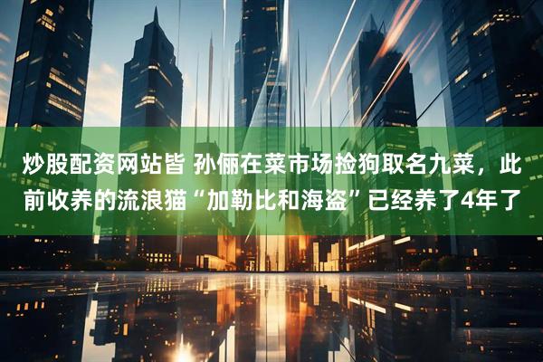 炒股配资网站皆 孙俪在菜市场捡狗取名九菜，此前收养的流浪猫“加勒比和海盗”已经养了4年了